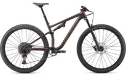 Specialized Epic Evo (2022)